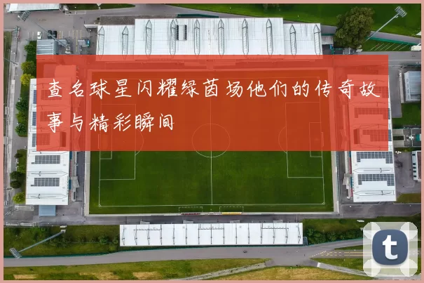 查名球星闪耀绿茵场他们的传奇故事与精彩瞬间