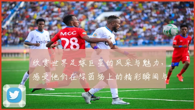 欣赏世界足球巨星的风采与魅力，感受他们在绿茵场上的精彩瞬间与传奇故事