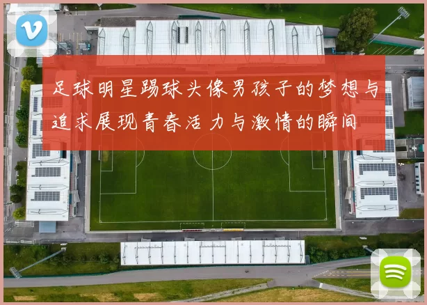 足球明星踢球头像男孩子的梦想与追求展现青春活力与激情的瞬间