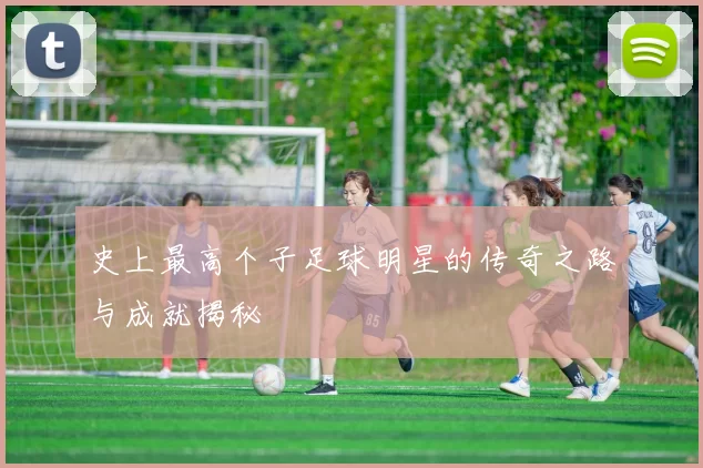 史上最高个子足球明星的传奇之路与成就揭秘